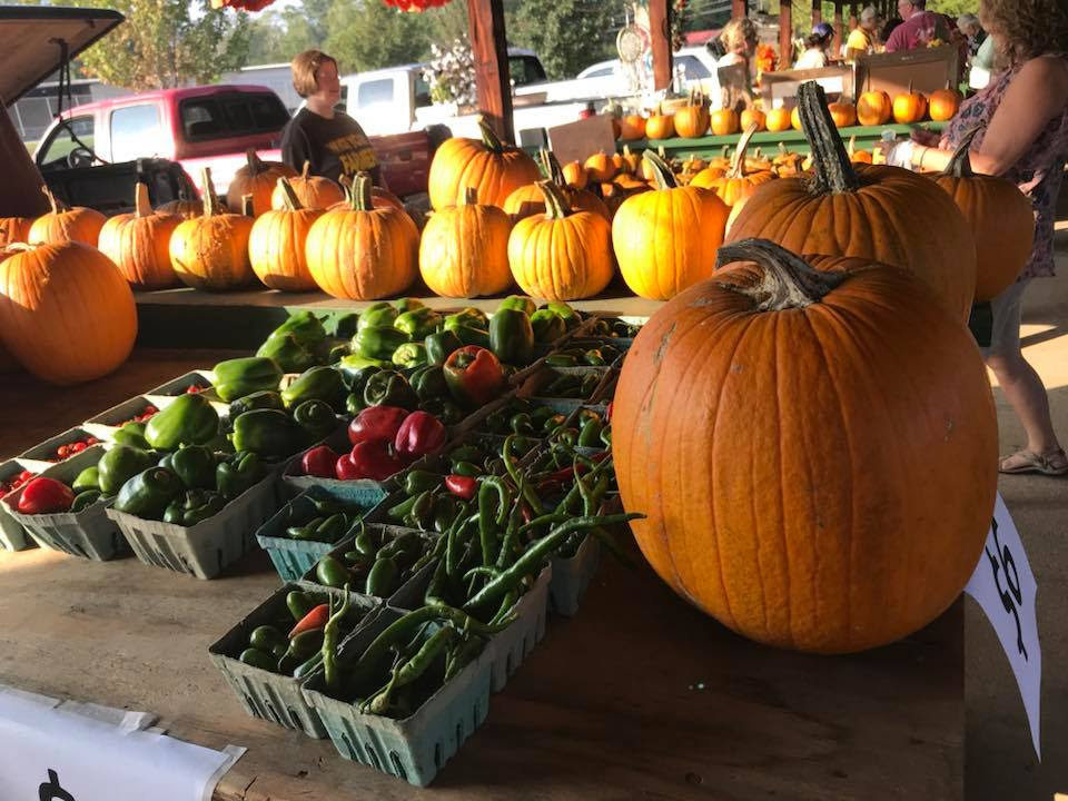 Special Fall Market October 10, 2020, at the Green Street Pavilion in downtown Athens